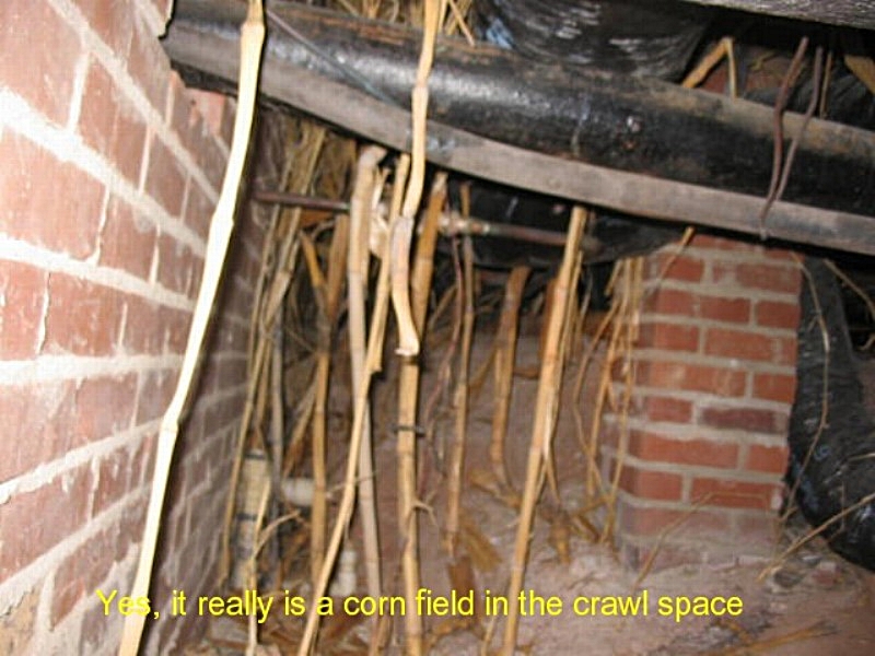 A Closer Look Home Inspection Charleston — crawlspace inspection photo 4