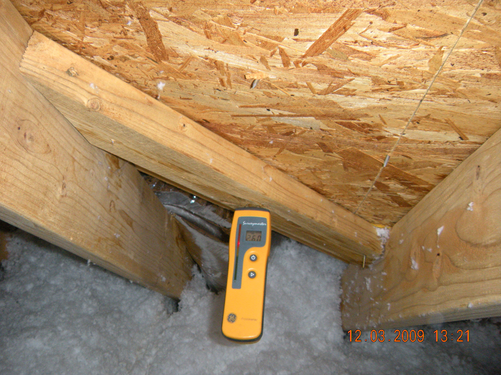 A Closer Look Home Inspection Charleston — crawlspace inspection photo 40
