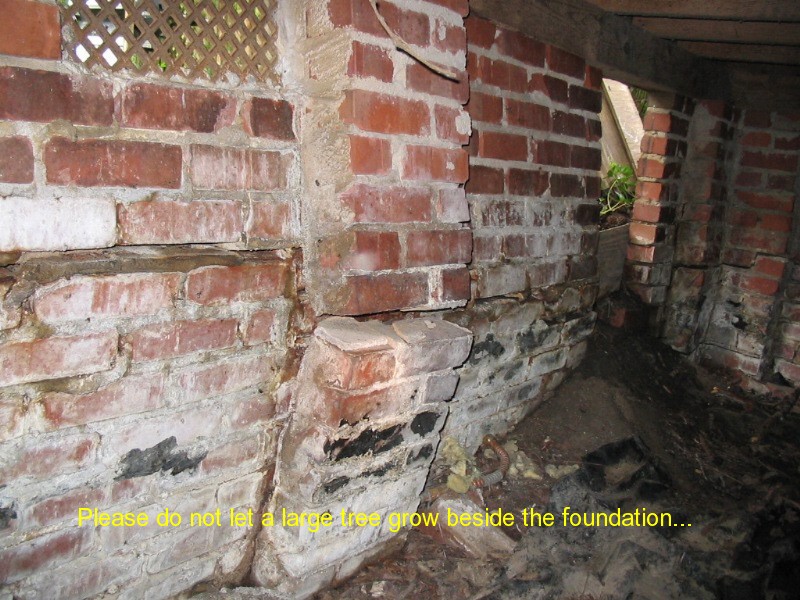 A Closer Look Home Inspection Charleston — attic inspection photo 8